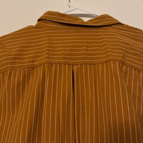 Striped Button Down - Picture 8 of 9
